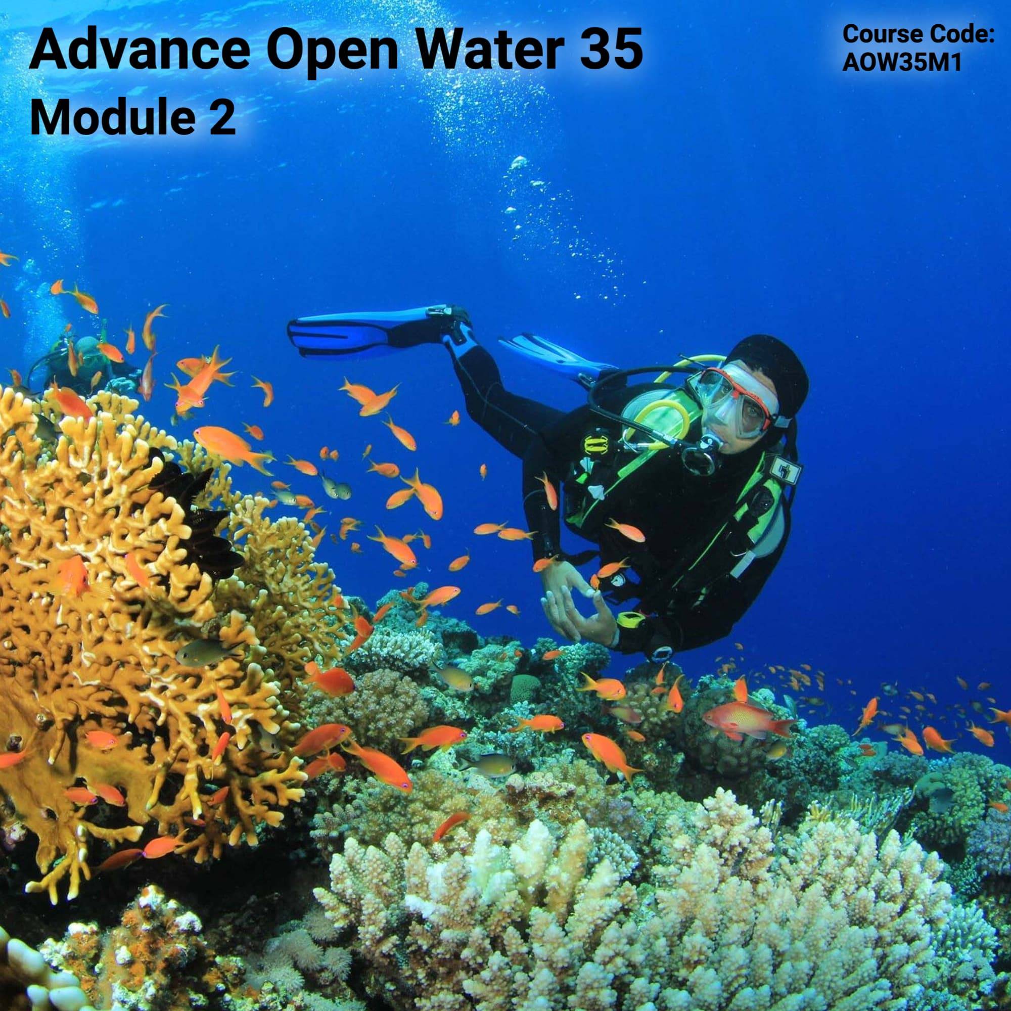 Image of Advance Open Water Module 2
