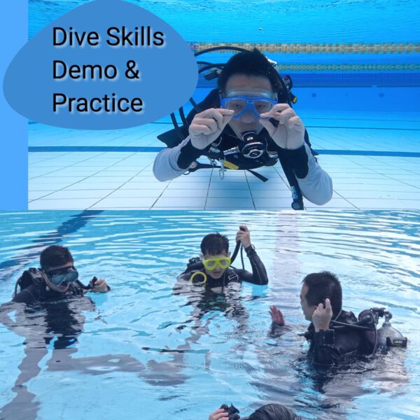 Image of Dive Drills Pool