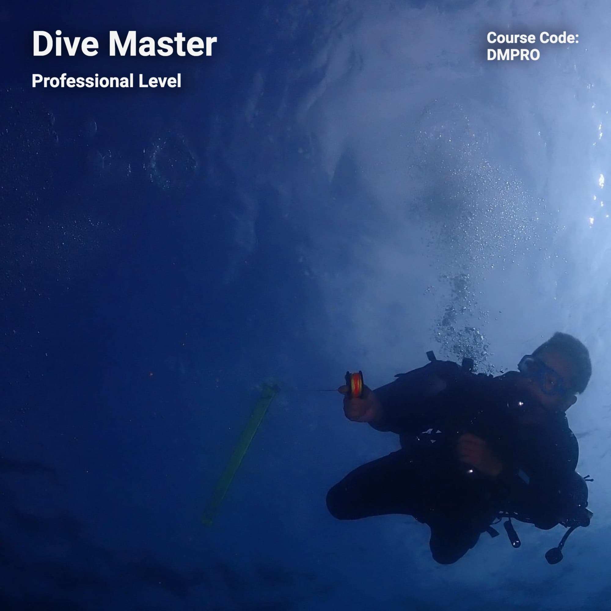 Image of Dive Master Course