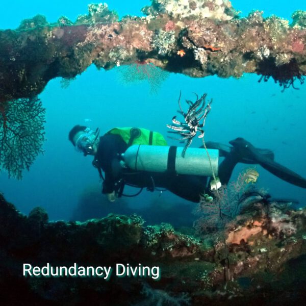 Redundancy Diving