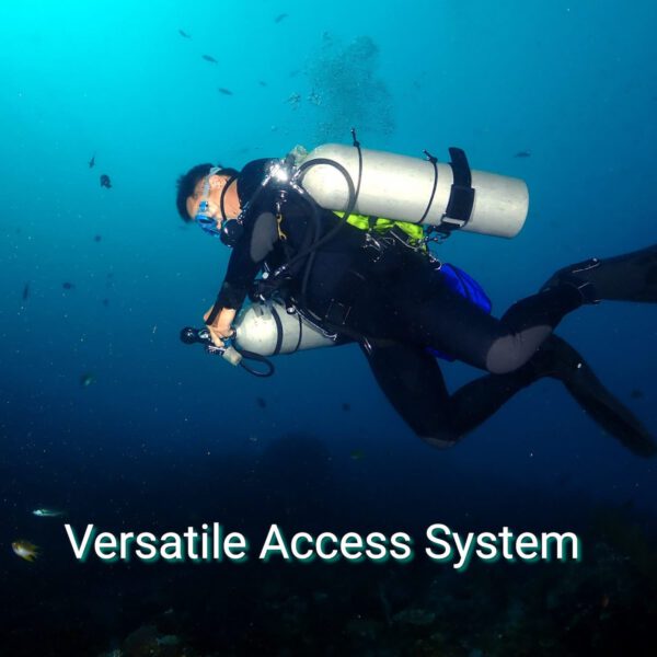 Versatile Diving Access System