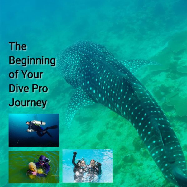 image of Dive Pro Journey