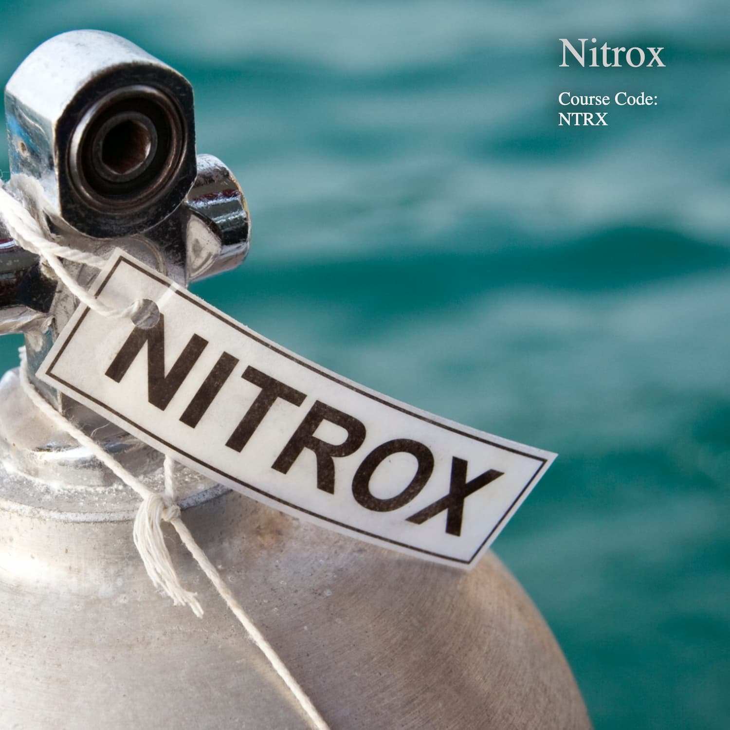 image of nitrox tank