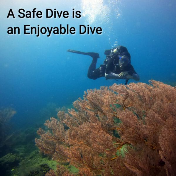 image of open water dives